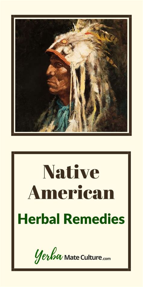 try these native american herbal remedies herbal remedies herbalism remedies