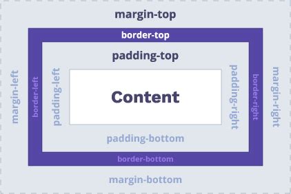 CSS Padding Vs Margin Learn CSS Padding Order And Div Padding