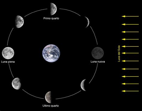 And one week to get to third quarter and finally one more week to return to new moon. Moon, the only natural satellite of Earth - Astronomy ACADEMY