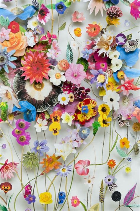 Beautifully Blossoming Flower Art Collages Grow Out Of The Canvas