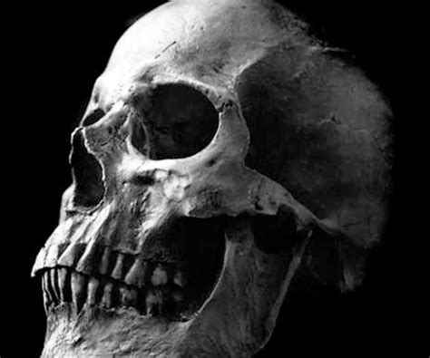 My Next Art Project Skull Anatomy Skull Art Skull