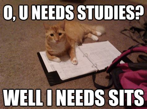 Study Sits If It Fits I Sits Know Your Meme Best College Essays