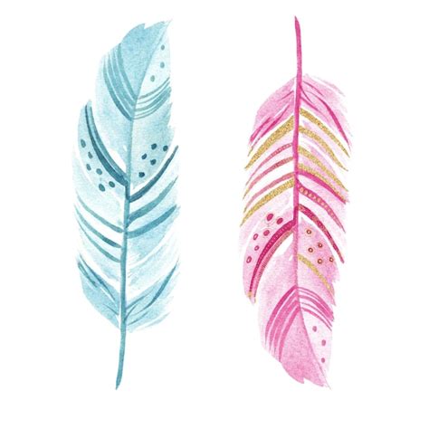 Premium Photo Feathers Painted In Watercolor On A White Background