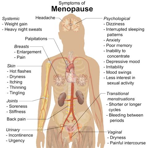 Address 34 Symptoms Of Menopause With Holistic Treatments