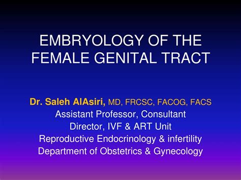 Ppt Embryology Of The Female Genital Tract Powerpoint Presentation Free Download Id