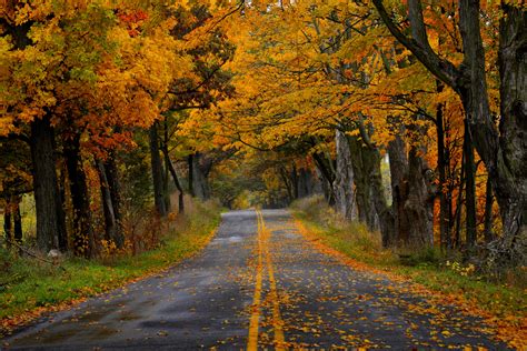 Autumn Road Hd Wallpaper Background Image 3000x2000