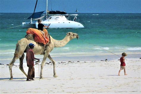 15 Days Kenya Safari And Mombasa Beach Holiday — African Safaris
