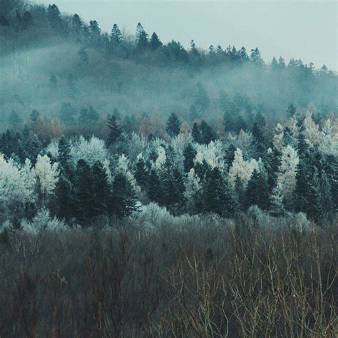 Nature Shared By Highcole On We Heart It