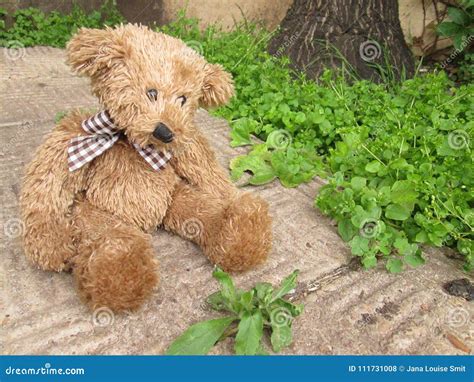 Lonely Teddy Bear On A Path Way Stock Photo Image Of Garden Comfort