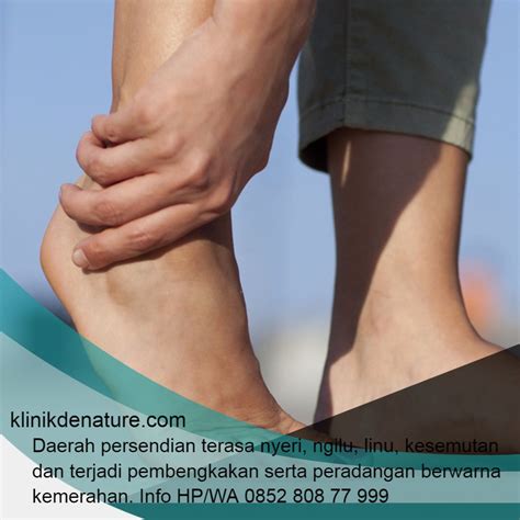 Kandungan nutrisi dan zat aktif daun kelor. Cara Mengobati Asam Urat Dengan Daun Sirsak - Informasi ...