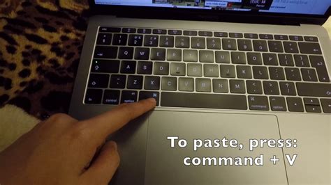 How To Copy And Paste On A Mac
