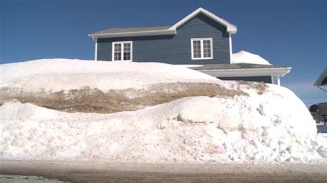 Dont Expect Tulips By The 20th As Giant Snow Banks Cover Corner Brook