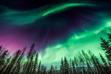 All at once everything looks different now that i see you sing along to i see the light with the mandy moore & zachary levi and. Northern Lights Livestream: Nature's Most Amazing Light Show
