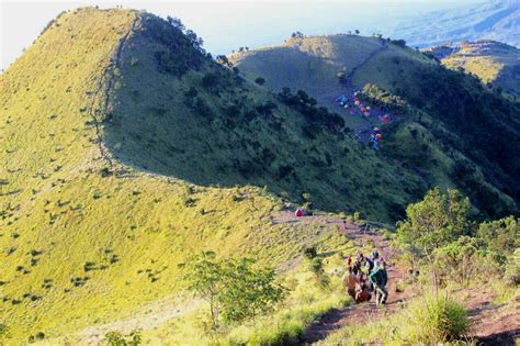 Pendakian Gunung Merbabu