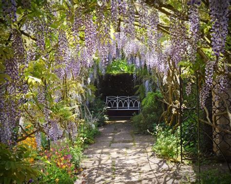 19 Dreamy Cottage Gardens Hgtvs Decorating And Design Blog Hgtv