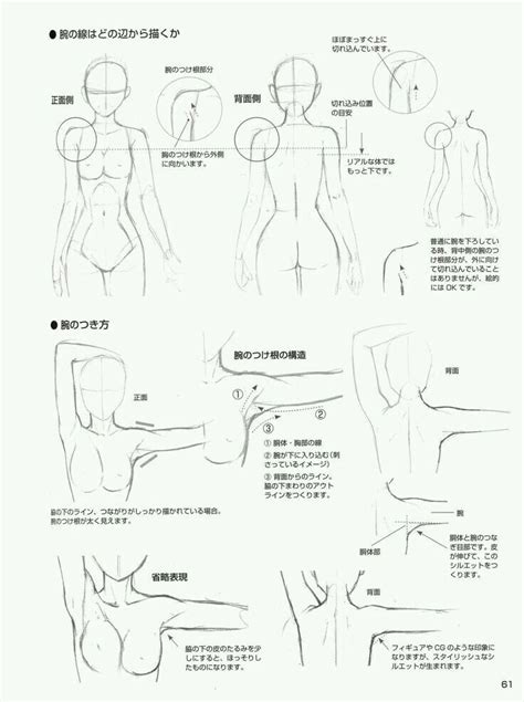 Pin By Sucharnya On Pose Manga Drawing Tutorials Anatomy Drawing