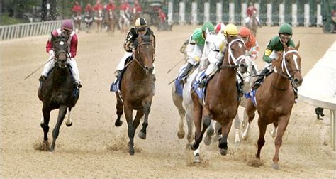 Coming From Behind Curlin Emerges As A Favorite The New York Times