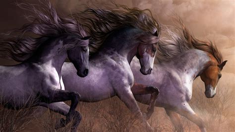 Gray Horses Hd Horse Wallpapers Hd Wallpapers Id 57028