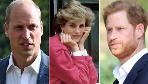princes william and harry reunite at unveiling of statue of their late mother princess diana
