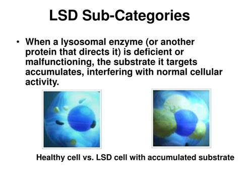ppt the lysosome and lysosomal storage disorders lsd powerpoint presentation id 330820