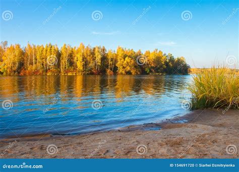 River Side Autumn Nature Landscape Scenic Riverside And Yellow Trees