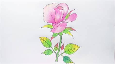 How To Draw A Rose How To Draw Color A Rose Super Easy Realistic