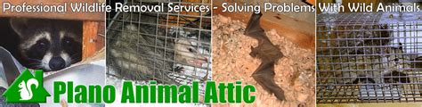 We offer free shipping on all products and personalized advice on any pest control problem. Attic Animal Pest Plano, Wildlife Control in Texas