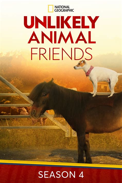 Unlikely Animal Friends Tv Series 2012 Posters — The Movie