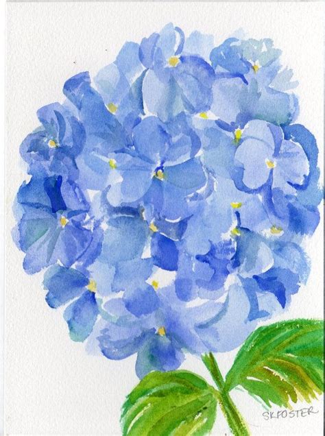 Blue Hydrangeas Watercolor Painting Original By Sharonfosterart