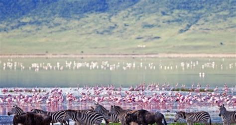 3 Days Ngorongoro Crater Safari Package Africa Biking Expeditions