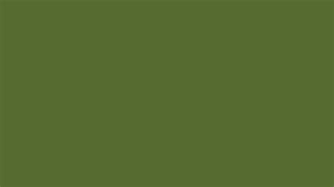 2560x1440 Dark Olive Green Solid Color Background