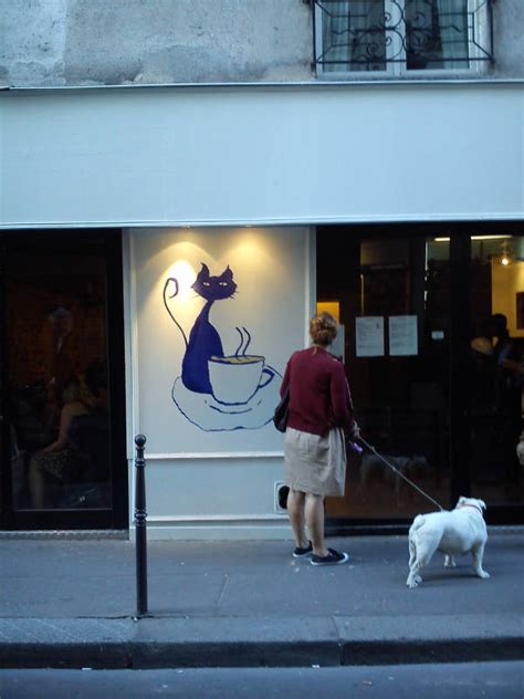 Have A Peek Around Frances First Cat Café In Paris The