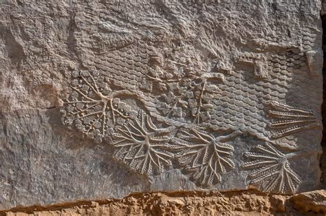 Rare 2 700 Year Old Stone Carvings Discovered In Iraq
