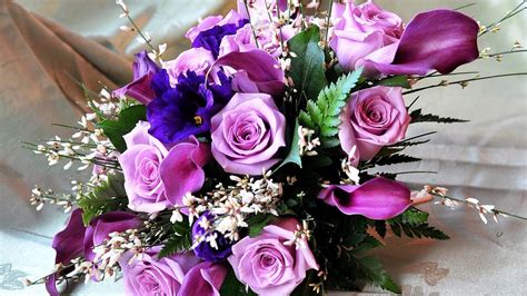 Purple Roses Bouquet To Women On March 8 Wallpapers And