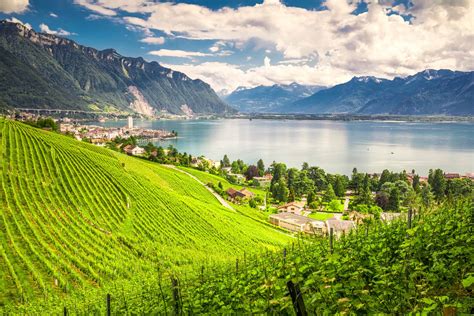 Montreux City With Swiss Alps Lake Geneva And Vineyard On