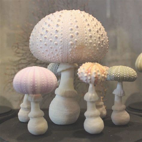 Unique Mushrooms From Sea Unique Mushroom Art Craft Japan