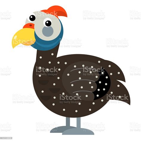 Cartoon Scene Guinea Fowl Is Standing Looking And Smiling On White