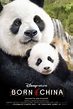 Born in China (2017) Poster #1 - Trailer Addict