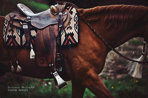 Very Beautiful Photo Western Horse Saddles Horse Love Horse Saddles