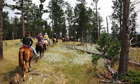 Guided Horseback Trail Rides Custer Ticket Price Timings Address