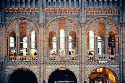 Natural History Museum In London A Prestigious Museum In South