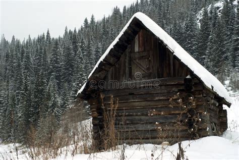 Log Cabin In Winter Forest Stock Image Image Of House 12569251