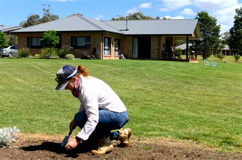 How To Tackle Weeds In Your Kikuyu Lawn Eykamp Seeds