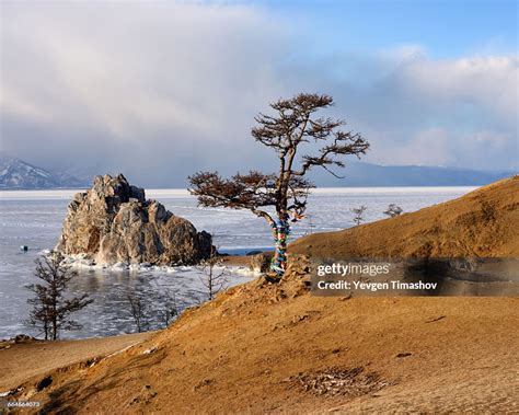 View Of Tree And Shamanka Rock On Burkhan Cape Baikal Lake Olkhon