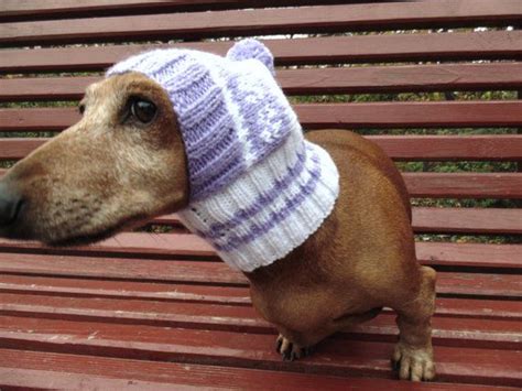 Warm Hat For Small Handmade Dogs Etsy Warm Hat Warm Winter Hats