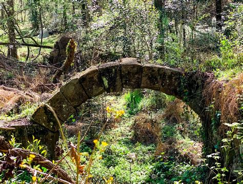 Find These Old Mill Ruins On The Trail At The Riverbanks Botanical