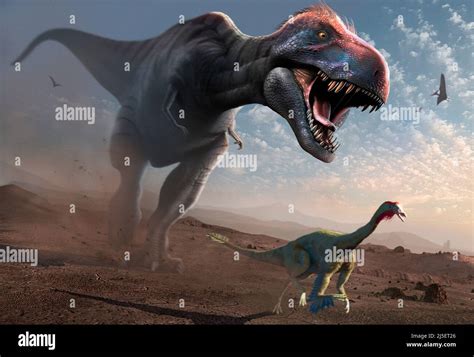 T Rex Hunting Ornithomimus Stock Photo Alamy