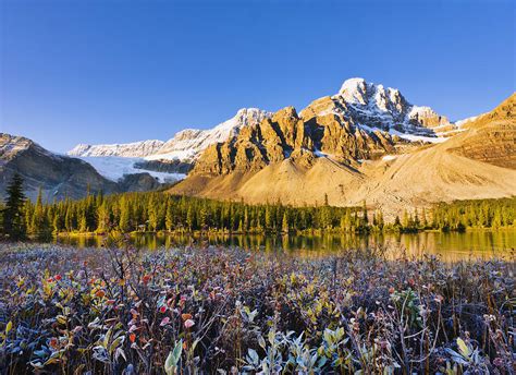 Bow Lake And Crowfoot Mountain Photograph By Yves Marcoux Fine Art