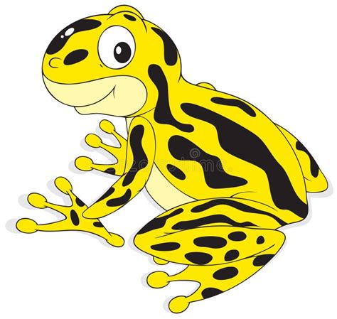 Poison Arrow Frog Stock Vector Illustration Of Croaker 13248045