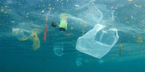 Shocking Facts On How Plastics Can End Up In The Ocean